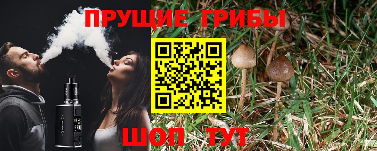 Галлюциногенные грибы прущие грибы  Псилоцибиновые грибы MAGIC MUSHROOMS  Вход с VPN  Асбест 